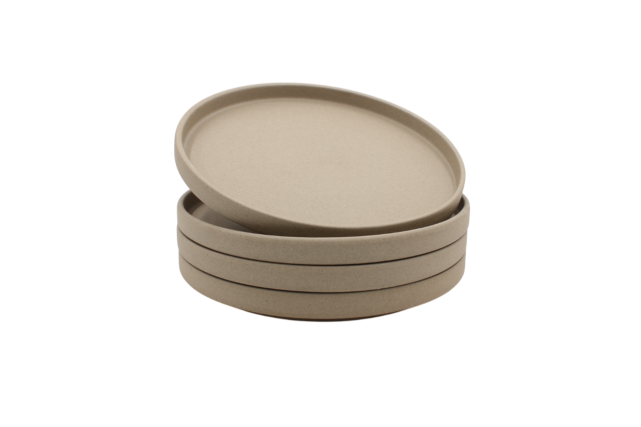 Stoneware Dinner Plates set of 4